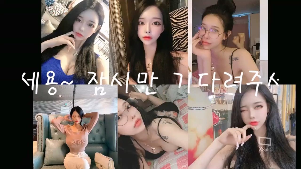 유튜버 ㅅㅂ와 결혼한 bj 셀리